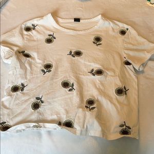 White Sunflower Crop